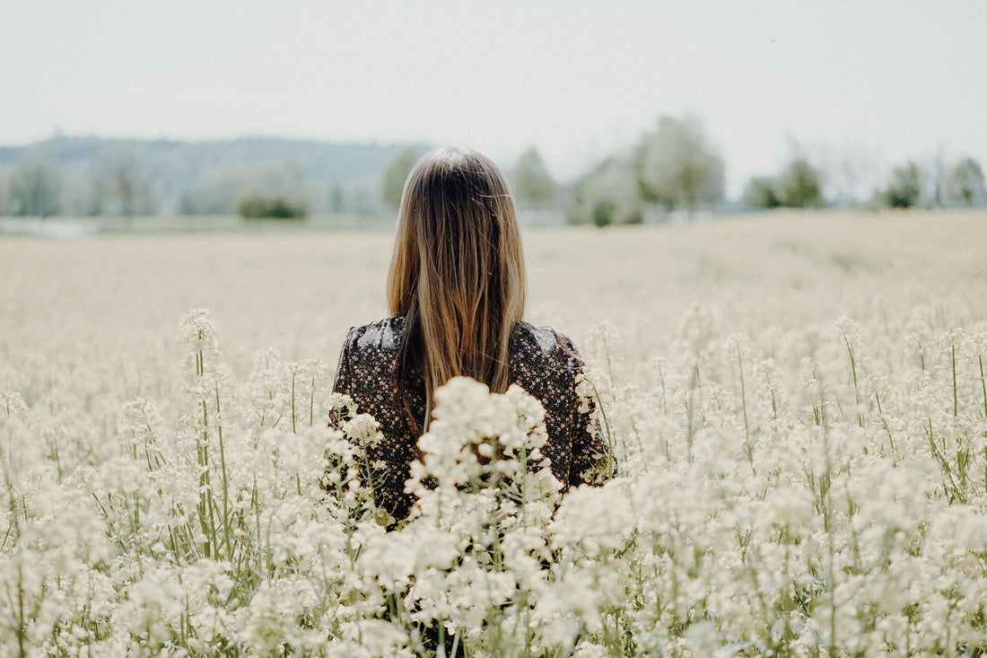 How to Use Elderberries to Breathe Easy During Allergy Season