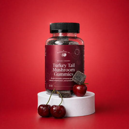 Turkey Tail Mushroom Gummies with Fruiting Body Mushroom Extract