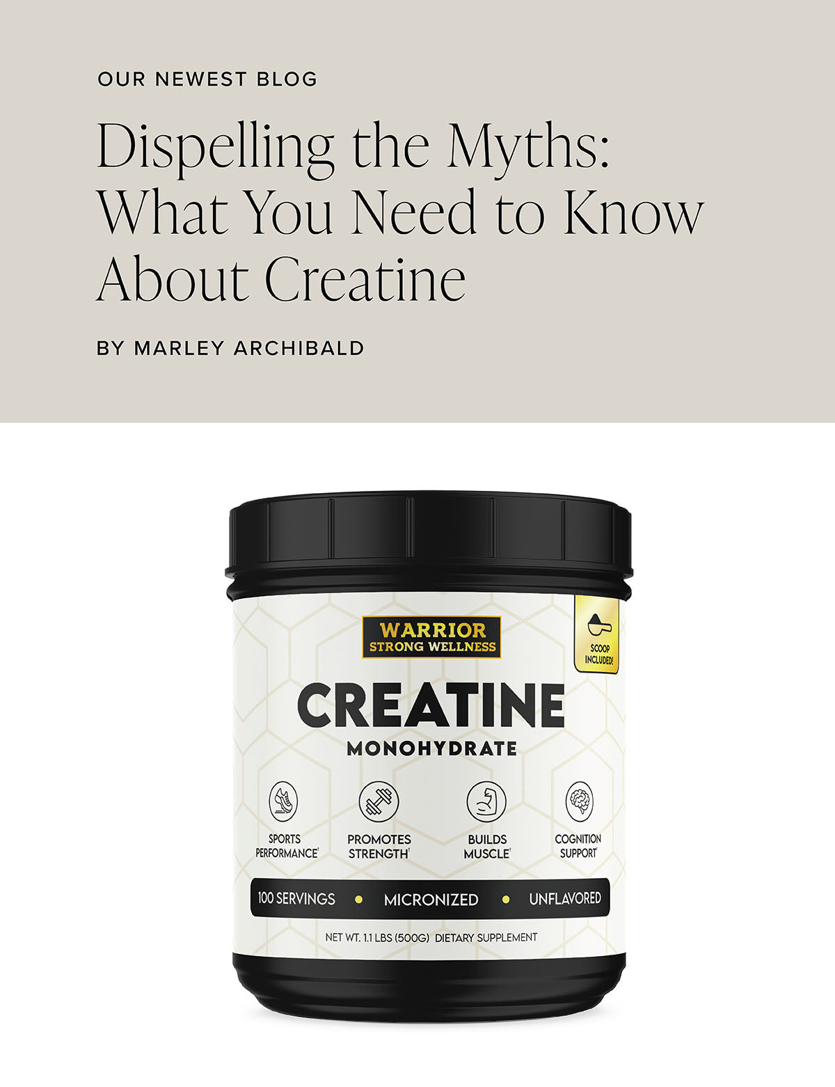 What You Need To Know About Creatine The Elderberry Co