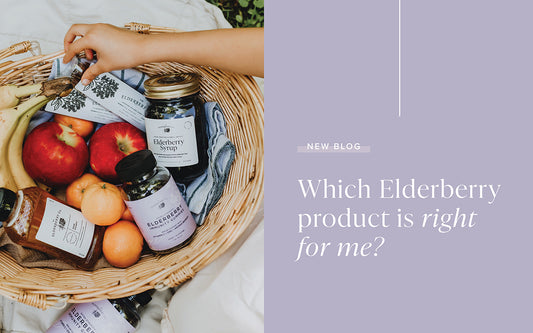 Which Elderberry Product is Right for Me?