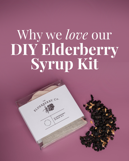 Why We Love Our DIY Elderberry Syrup Kit