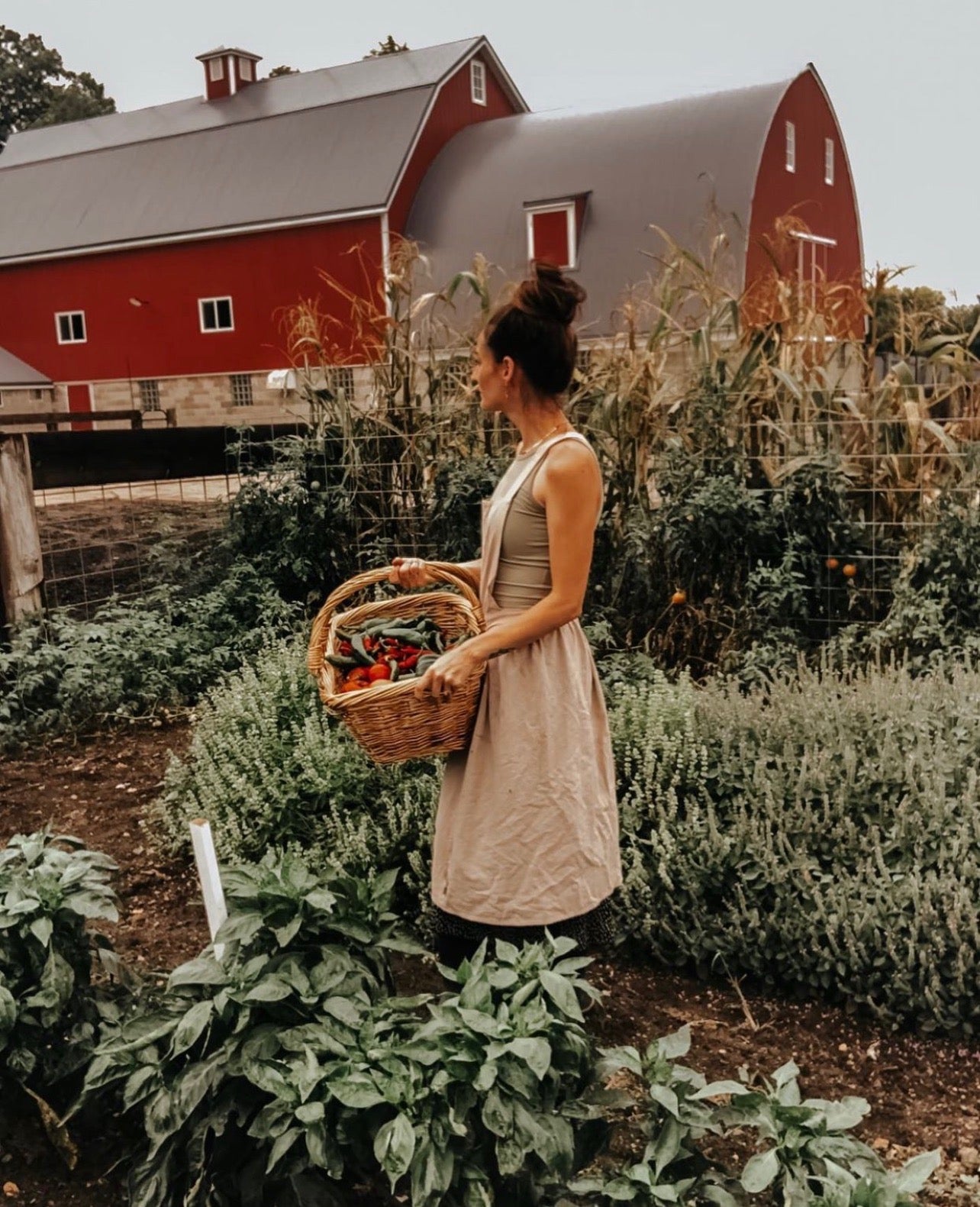 Hadyn Smith Farm Wholesale Highlight: Meet Smith Farm 1914 – The Elderberry Co.