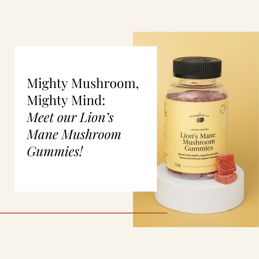 Mighty Mushroom, Mighty Mind: Meet our Lion’s Mane Mushroom Gummies!