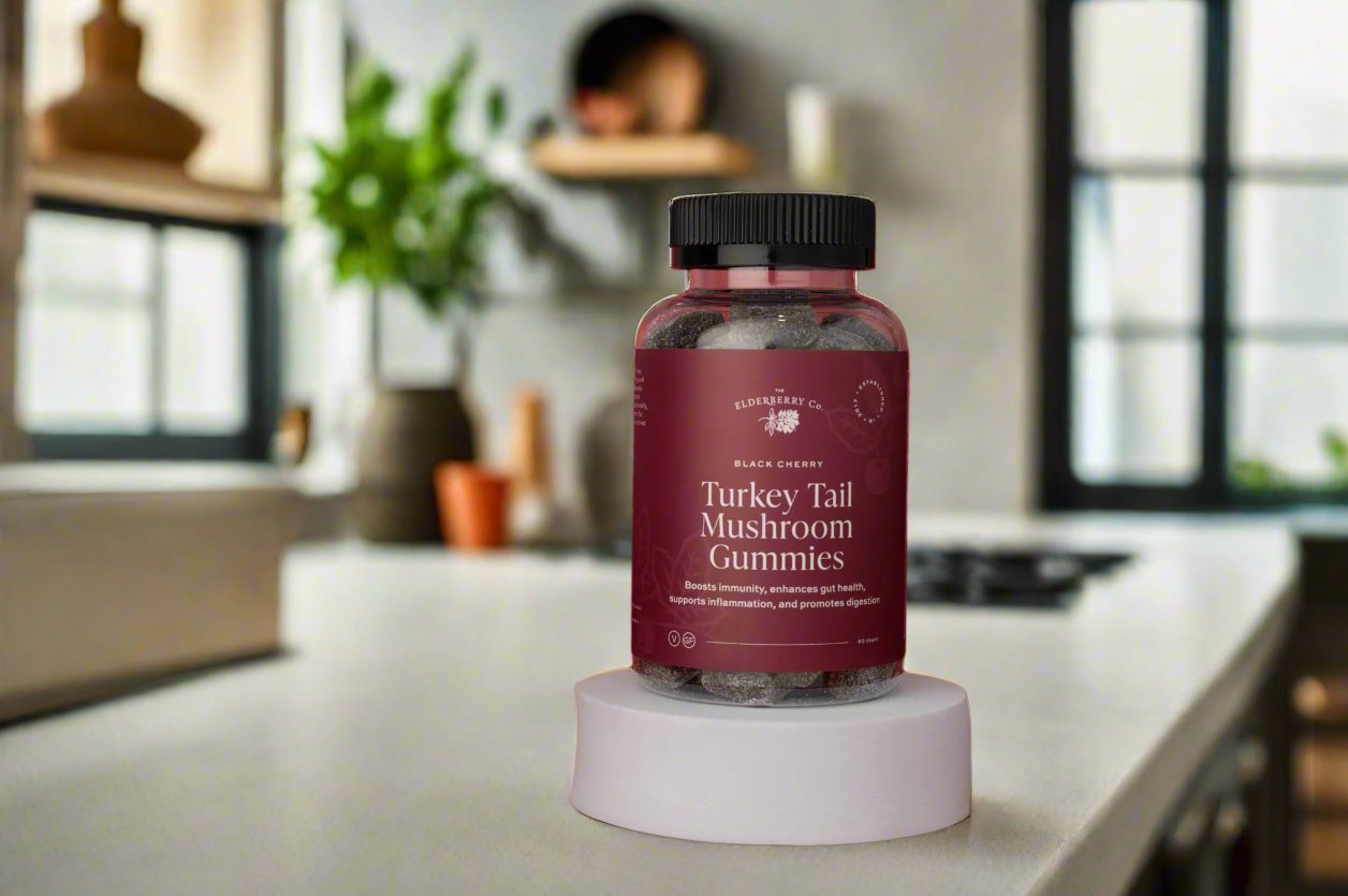 Front of Turkey Tail Mushroom Gummies bottle in black cherry flavor.